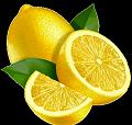 fruit (22)